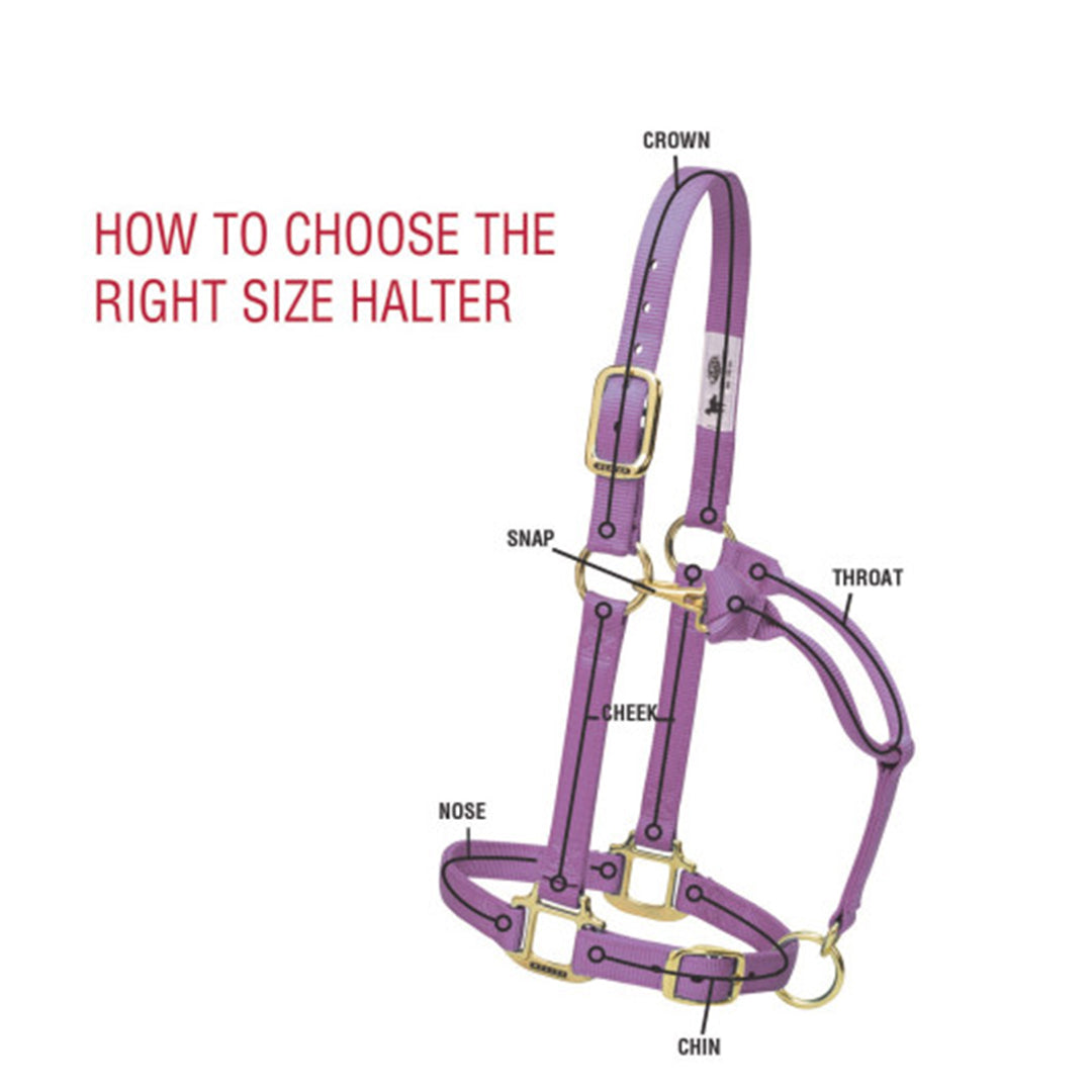 Weaver Original Adjustable Chin And Throat Snap Halter, 1" Draft