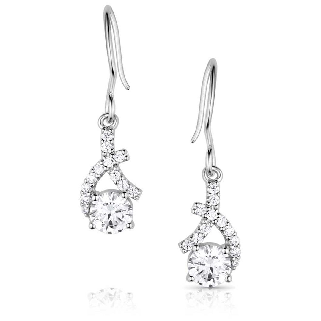 Montana Silversmith's Women's Hugs & Kisses Crystal  Earrings