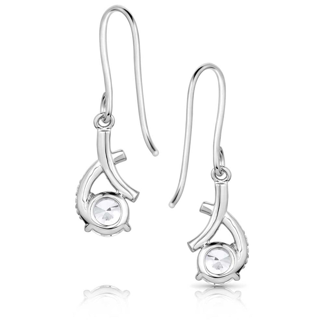 Montana Silversmith's Women's Hugs & Kisses Crystal  Earrings