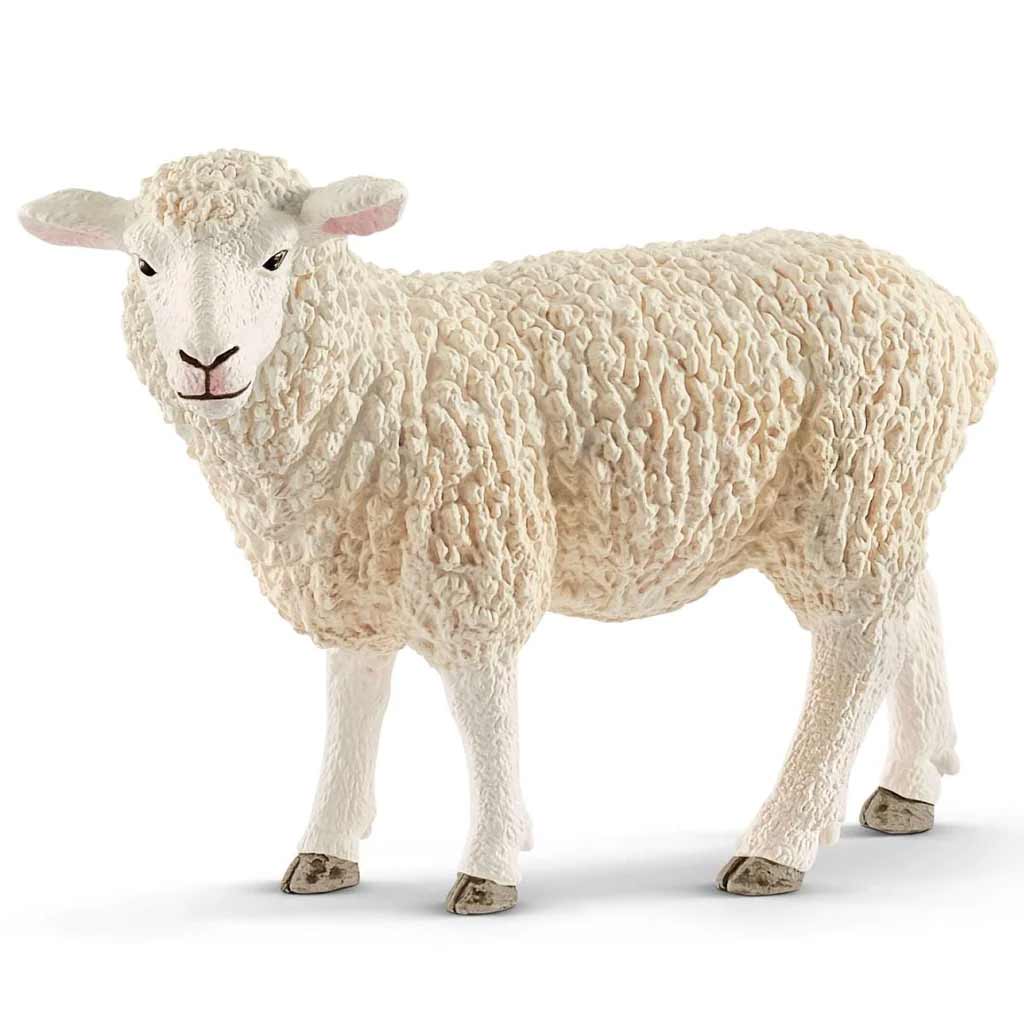 Schleich Sheep Toy