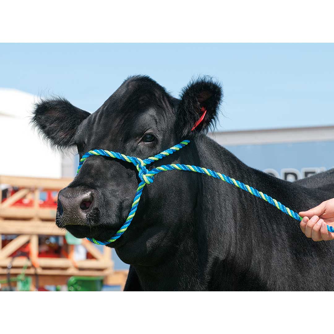 Weaver Rope Cattle Halter