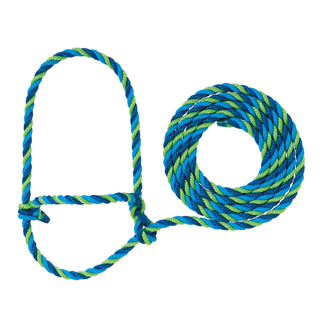 Rainbow Rope Halter – Western Edge, Ltd.